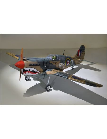 Avion Rc Phoenix Model P Warhawk Cc Gp Ep Arf M Radioc