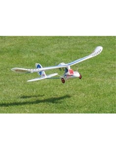 wingo rc plane