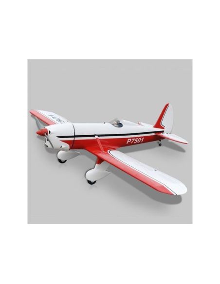 Avion rc Phoenix Model Ryan STA GP/EP ARF 1.80m - Radiocommande.fr