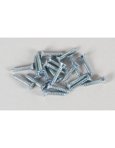 Vis 2.9x13mm (20p)