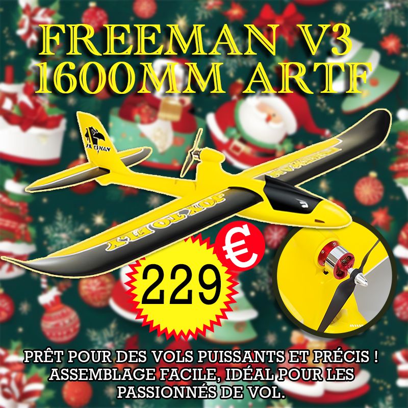 Planeur Rc FREEMAN V3 1600MM ARTF